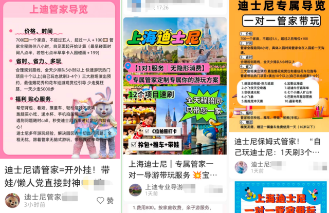 “野生”带玩管家出没迪士尼，从日赚上千卷到350元！专家看到的却是500亿元“陪伴经济”……