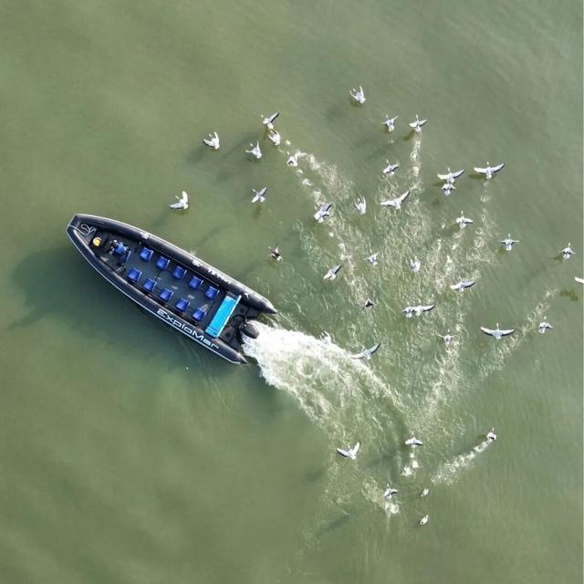 送票｜12月来东湖这样玩，嗨翻了！