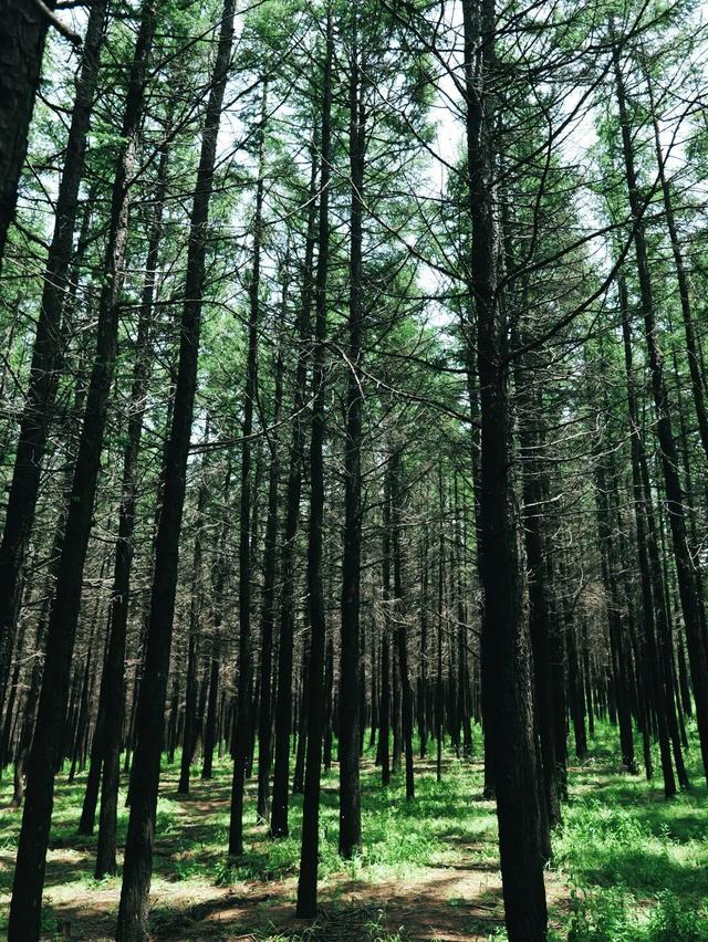 假期去哪玩？这本《呼和浩特旅行玩法宝典》请查收！