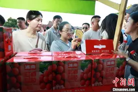 乡约福建：闽南畲村荔枝节引游人图片