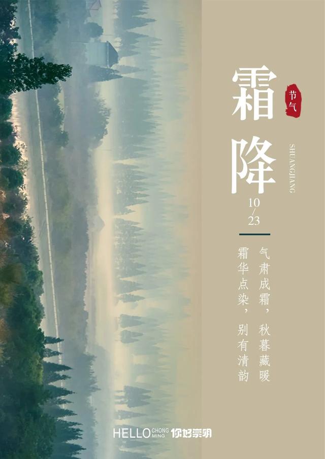 崇明这条生态研学路线，走起！