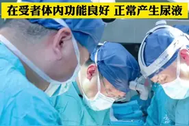 重大突破！我国医生成功将猪肾移植人体，即刻产生尿液，功能良好图片