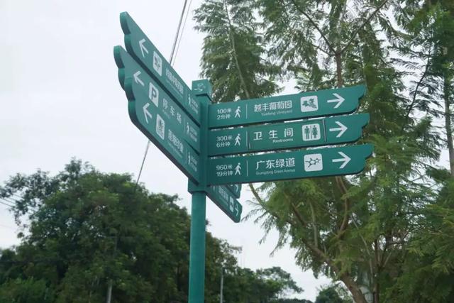 果香满溢！邂逅田园风光正当时