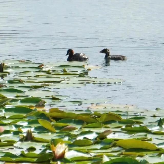 北京冬日限定“奇观”！就到月底！快冲→