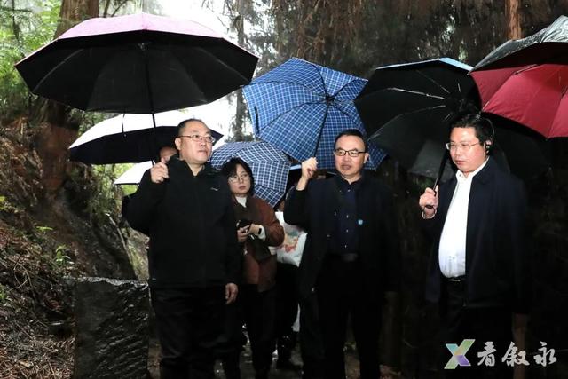 “盐”续古今 “道”载文明┃盐业文物专家聚焦叙永盐马古道