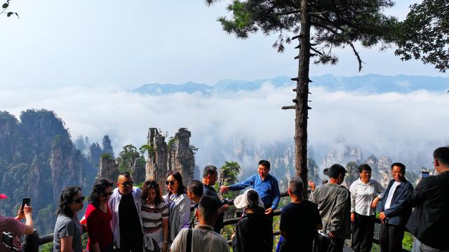 张家界国家森林公园正是错峰游好时候，天子山云海胜景醉游客