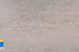 龙口降下冰雹！山东11市出现降雨，鲁南局部仍有大暴雨图片