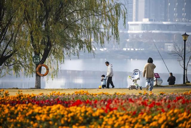 该如何给你解释呢？这真是彭州的冬天