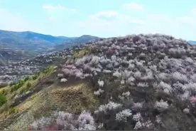 宁夏原州：正是山花烂漫时图片