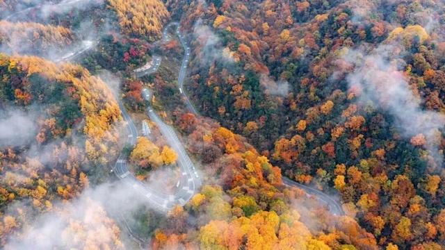 红红红了！红叶最佳观赏期已至！游玩安全记心中→