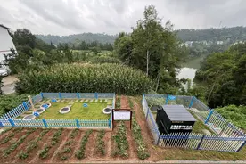 破解农村生活污水治理难题，四川这样做图片