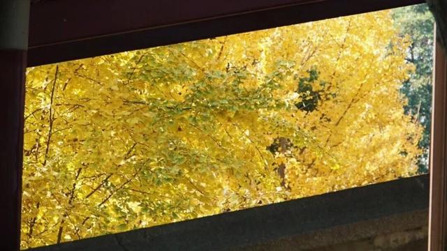 接下来的镇江是这样的！