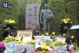 81192，请返航！图片