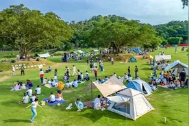 今天起试行！深圳一知名景区公告图片