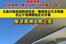 碧如翡翠 你知道奥尔梅克人的“绿色黄金”吗？图片
