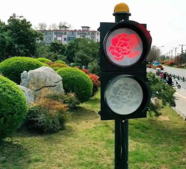 洛阳人，有自己的梧桐大道
