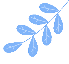 宝山文旅生活指南｜岁末寻暖，开启十二月文旅欢程！