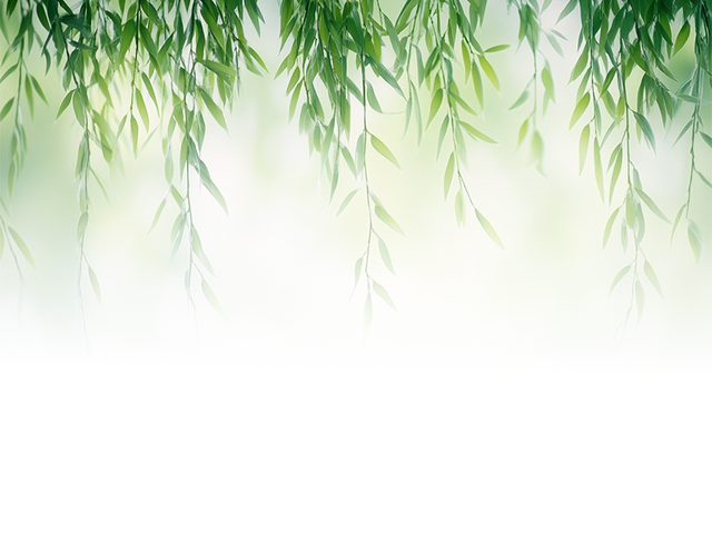 闰六月，夏日长！来青浦三大古镇，静享慢半拍的水乡生活！
