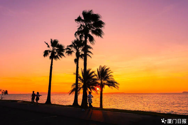 为什么是厦门？