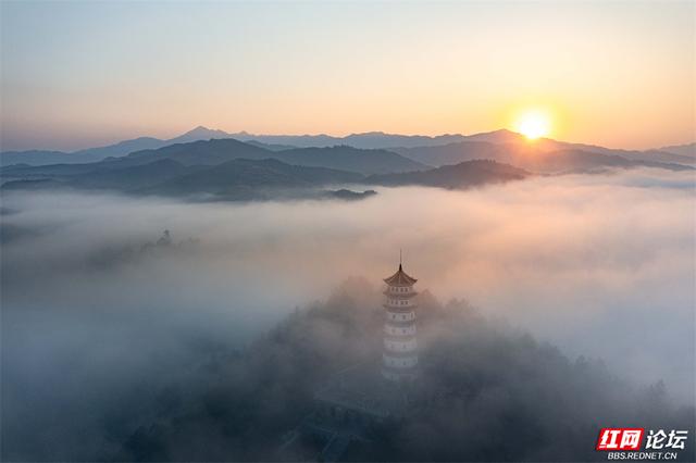 靖州冬日晨雾美成画卷，塔为珠，路为带，你确定不来看看？