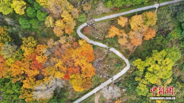 贵州草海北坡公园迎秋冬季最佳观赏期