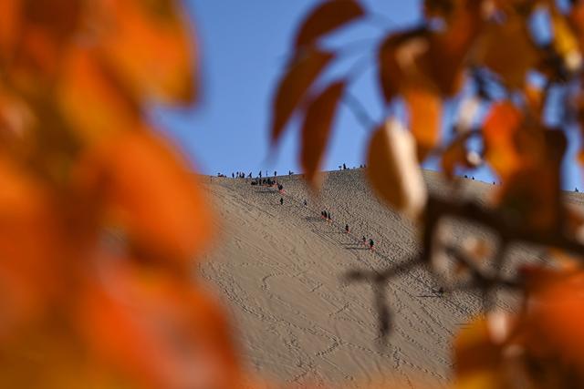 诗意中国｜碧涧流红叶 青林点白云