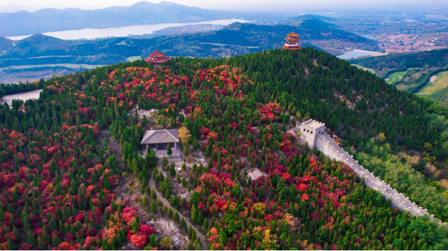送你一份赏“红”地图 邂逅山东醉美秋色