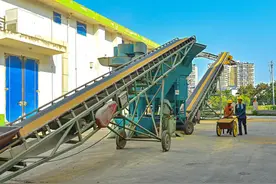 南充高坪：记者实地探访 直击夏粮颗粒归仓图片