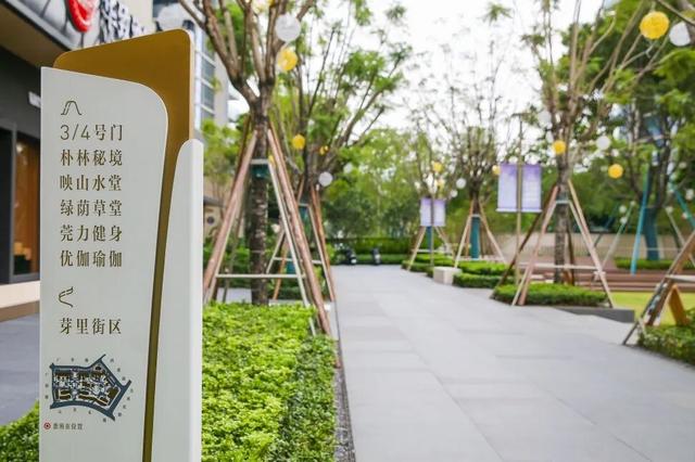 东莞新晋文艺街区，随手一拍就是大片→