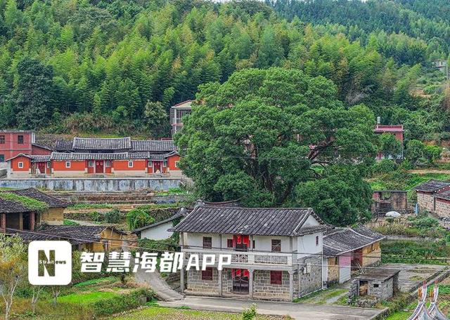 古韵绘就桃源逸境！永春夹际村吸引越来越多的人前来探寻