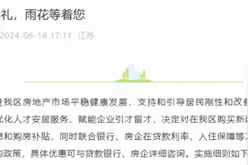 南京雨花台区推“购房贴息” 最高每年贴息4万元图片