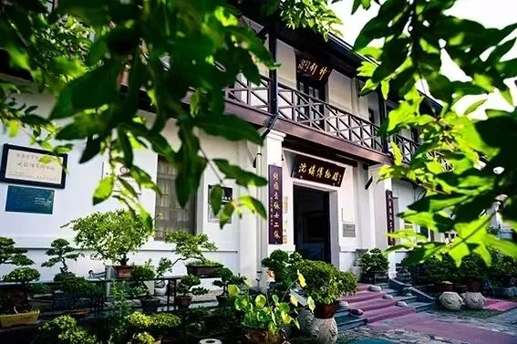 南通的D29路，一定要去坐一次