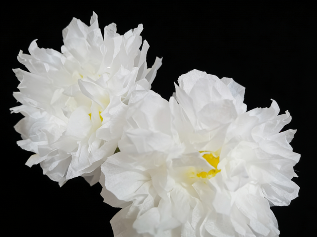 12.13，邀您共赴一场庄严纪念