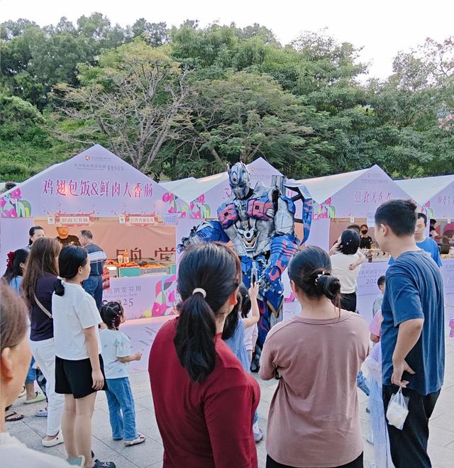 2025年深圳簕杜鹃赏花周11月“浪漫绽放”