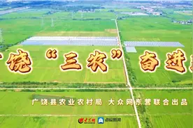 “三农”奋进路丨农民篇：返乡创业新农人 振兴乡村“鸡司令”图片