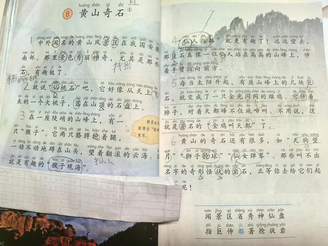 GO！南下、北上、周边自驾游，第一批过寒假的小学生即将出发