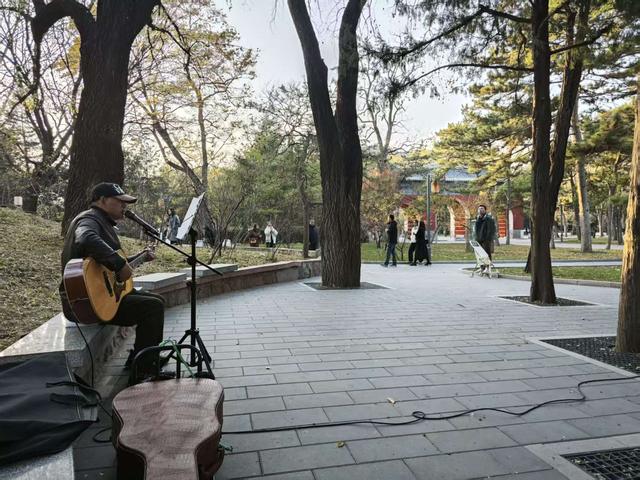 京城冬日迎暖阳，公园漫步享受闲适时光