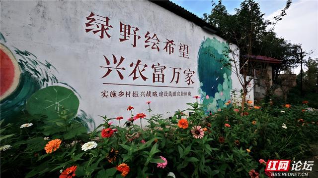 【每日一图@湖南】霞染层林湖映天，秋入仙庾美成卷