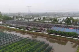 谈红鳝业：小黄鳝“钻”出致富路图片