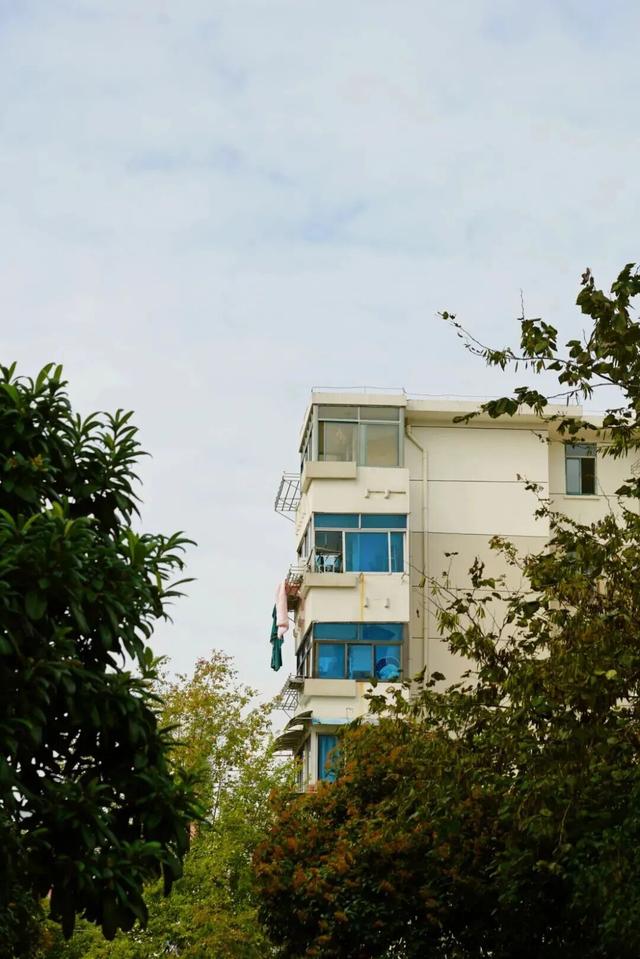 上马墩：好胖人的一条街