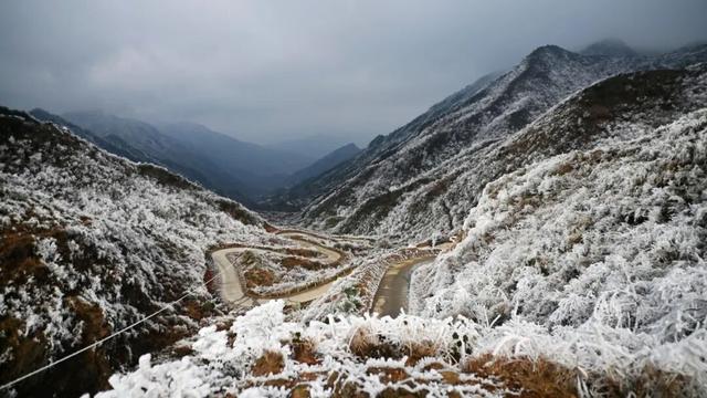 多图直击融水雾凇美景