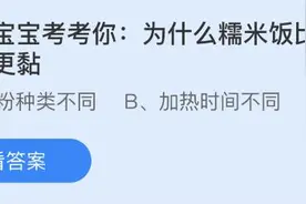 小为什么糯米饭比普通米饭更黏？蚂蚁庄园8.13今日答案最新图片