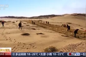 黄沙变绿地 宁夏咋就变得“水灵灵”了？图片