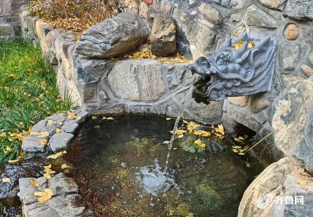 组图丨一大波美图来袭！泰山景区9个赏秋地超出片