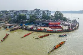 广西梧州：深秋赛龙舟图片