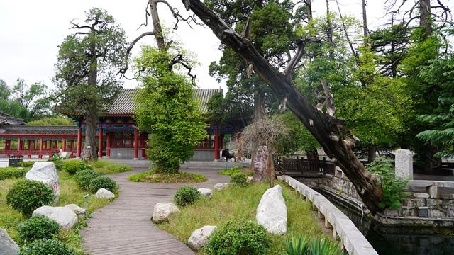 深秋探访水冶珍珠泉：千年名泉静美如画 泉水清冽依旧