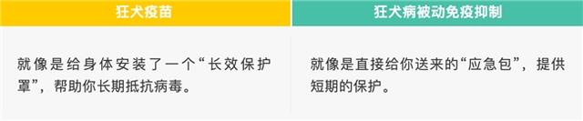 狂犬疫苗可以管几年？打过针又被咬了怎么办