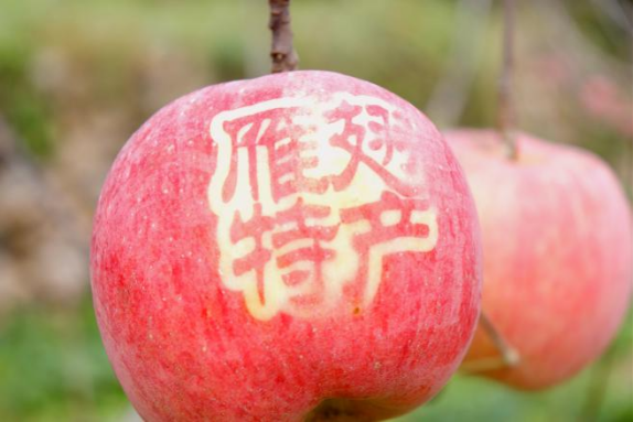 冬蕴万象 | 京西乡野寻踪·暖意雁翅之旅