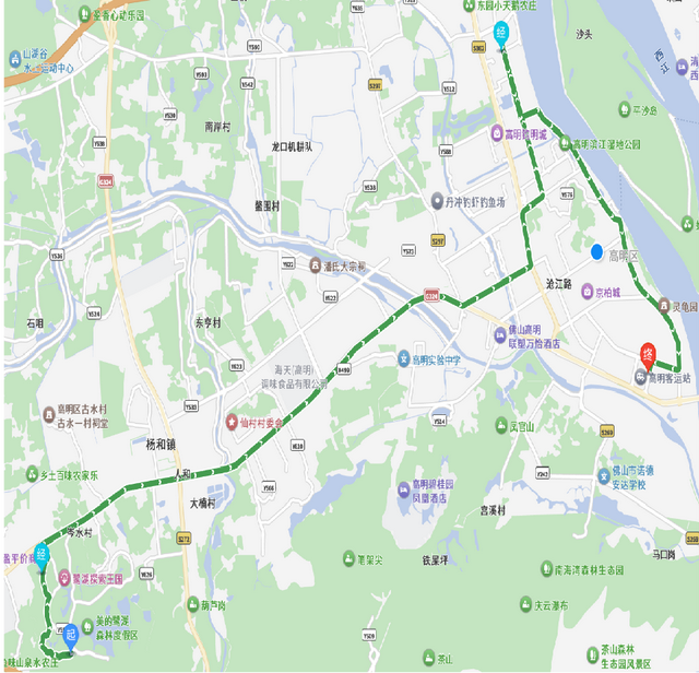 美翻！万亩稻田“丰”景藏不住了，11月23日高明稻马见～