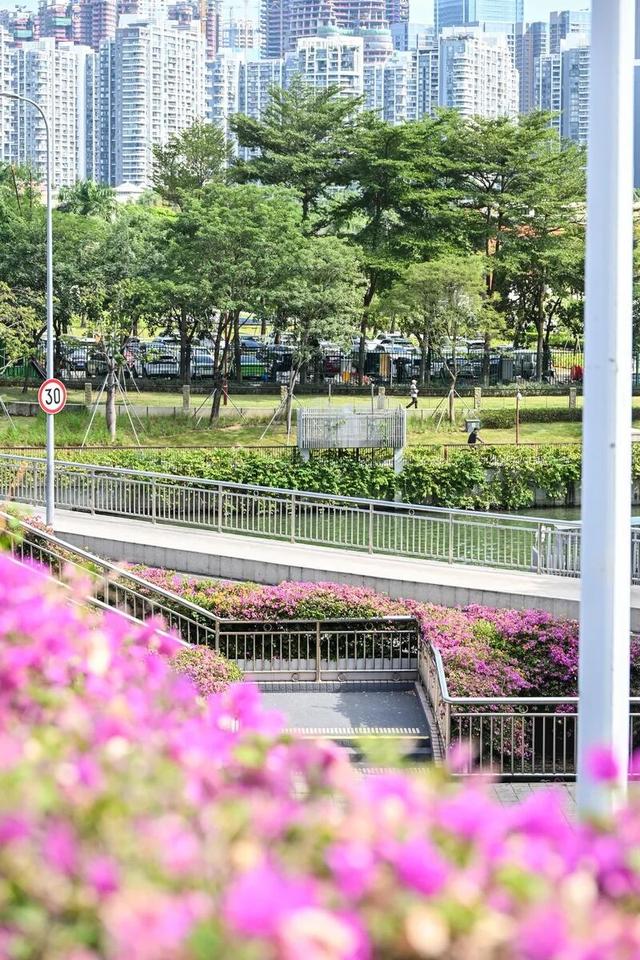 深圳知名景区紧急通知！